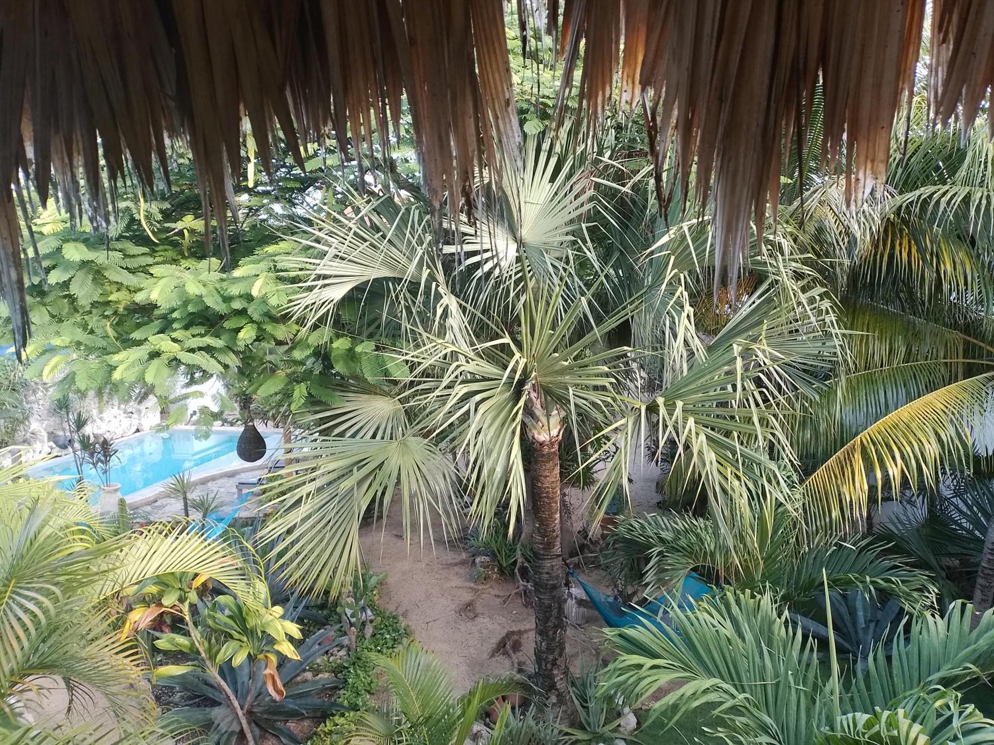 Zamunda Garden View Ξενοδοχείο Τουλούμ Εξωτερικό φωτογραφία