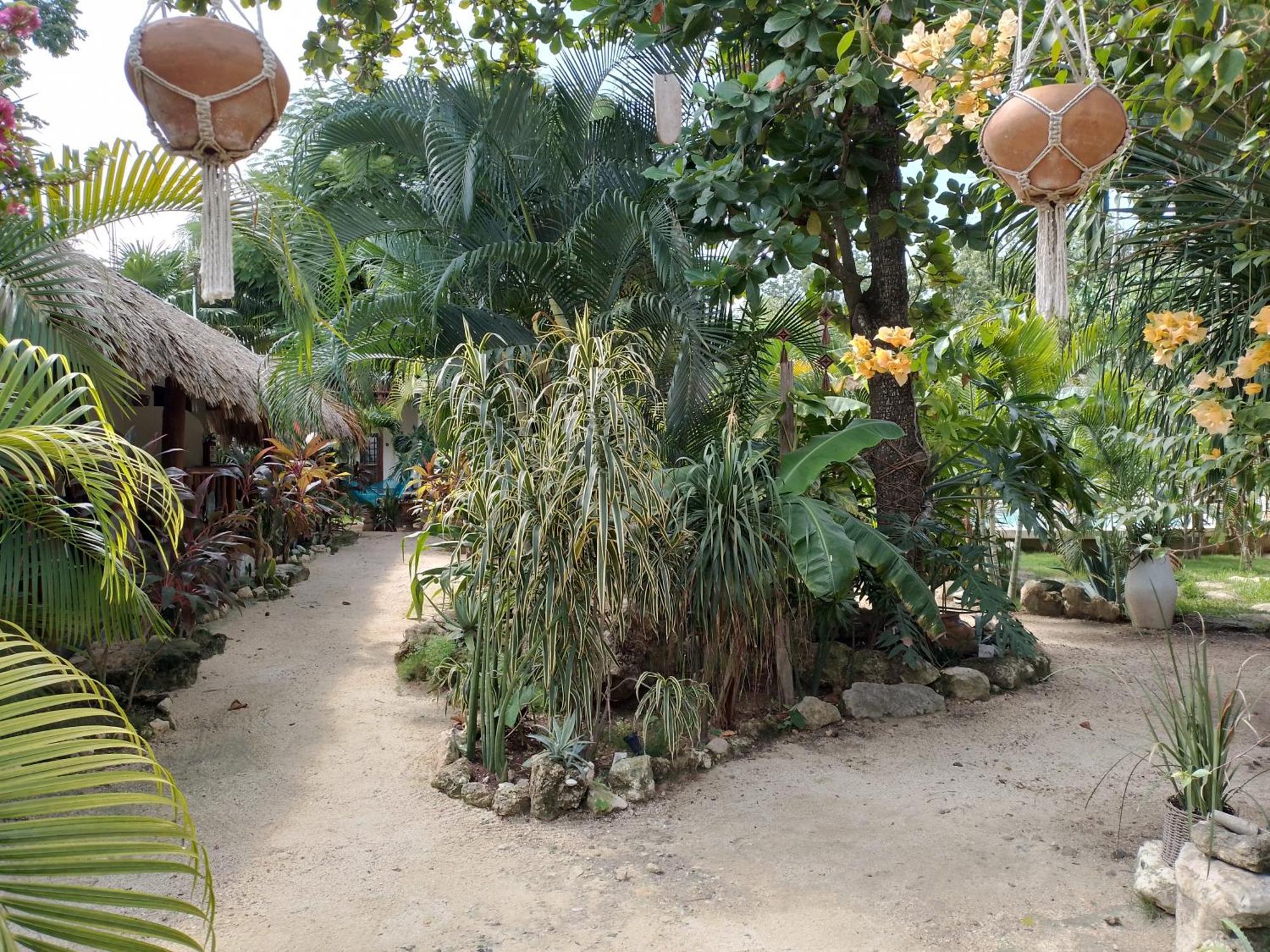 Zamunda Garden View Ξενοδοχείο Τουλούμ Εξωτερικό φωτογραφία