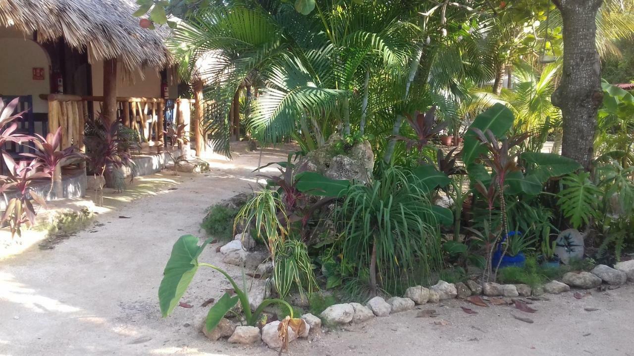 Zamunda Garden View Ξενοδοχείο Τουλούμ Εξωτερικό φωτογραφία
